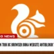 Tips Dan Trik UC Browser Buka Website Antiblokir Terbaik