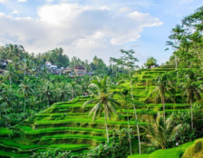 Kota Ubud