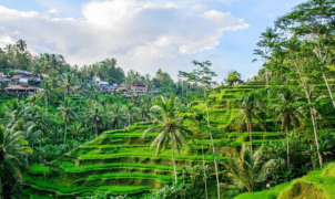 Kota Ubud