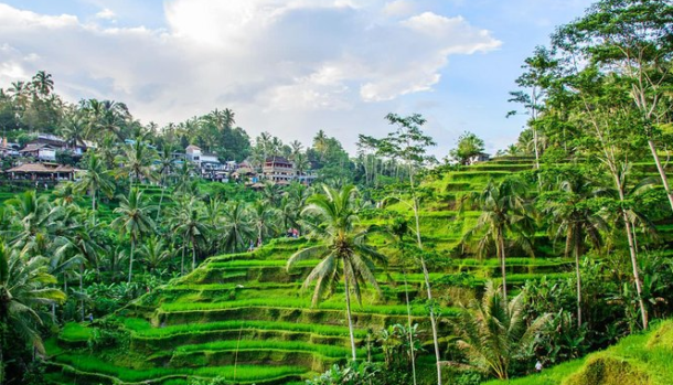 Kota Ubud